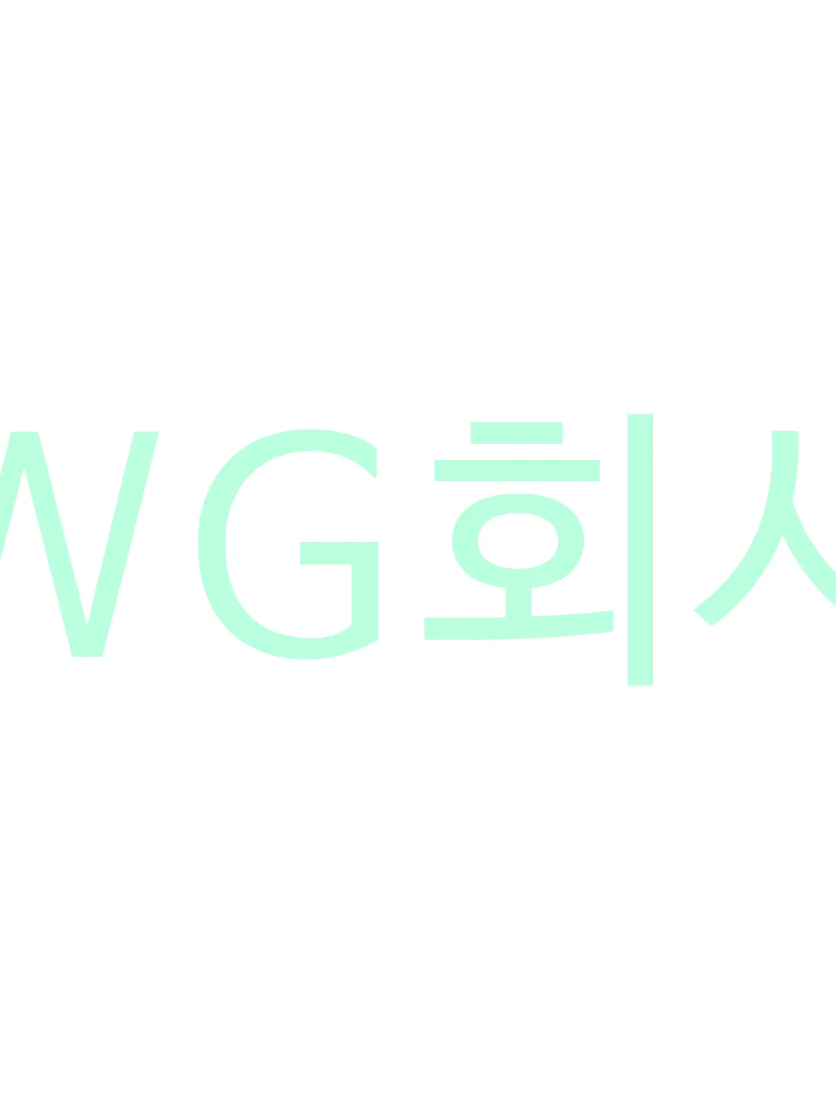 67_67의 WG 회사