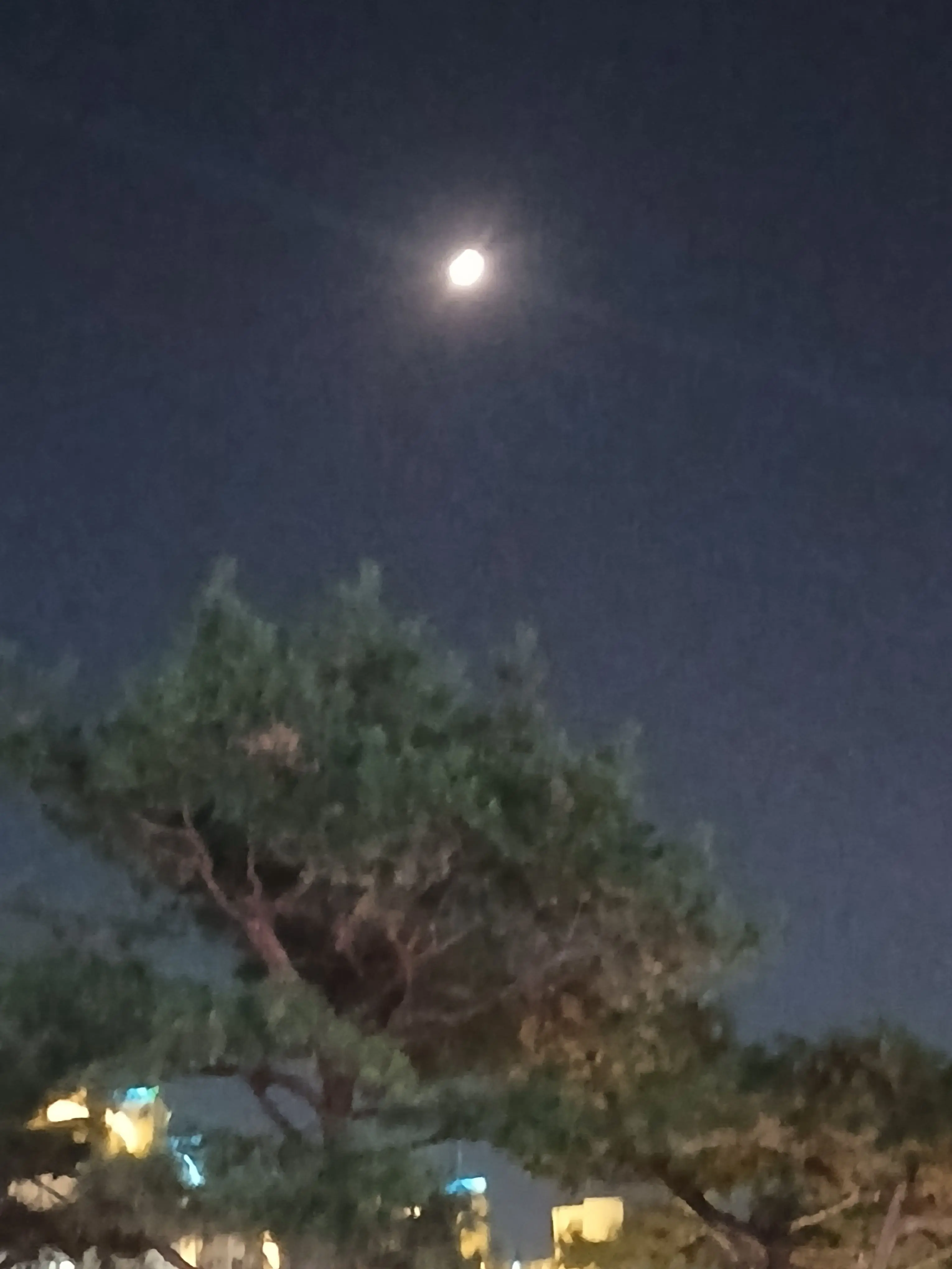 -_-tsk의 마인드핵+여우+늑대