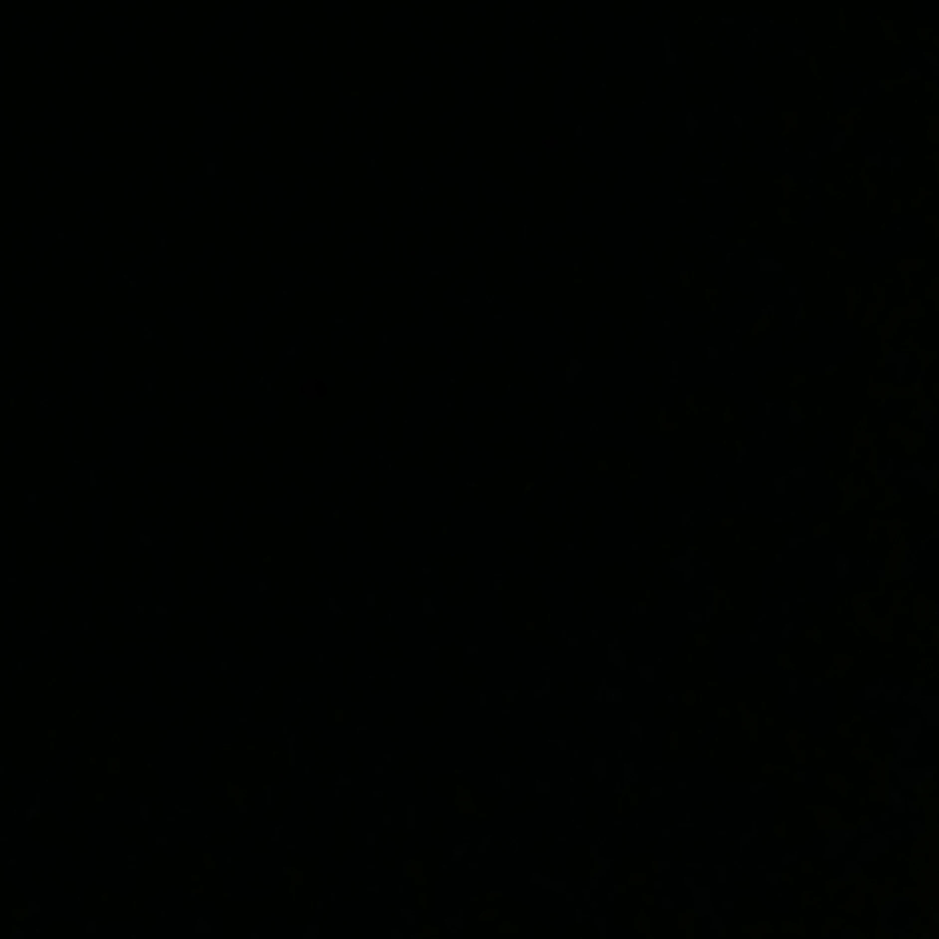 에 스 파