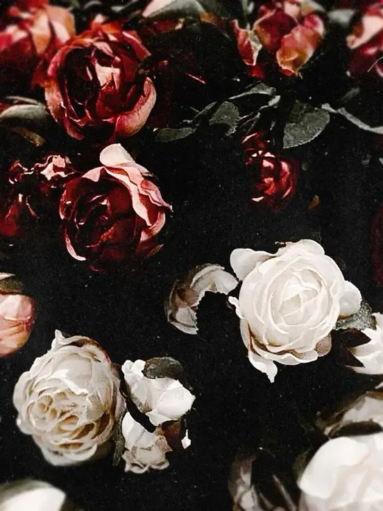 HumidPath9279의 당신의 명령이라면 심장도 꺼내줄게