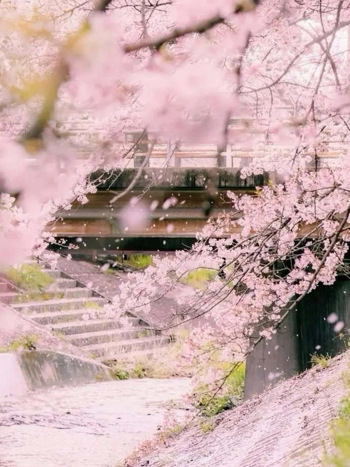 UglyTongs9946의 アンドロイドのきみとの生活