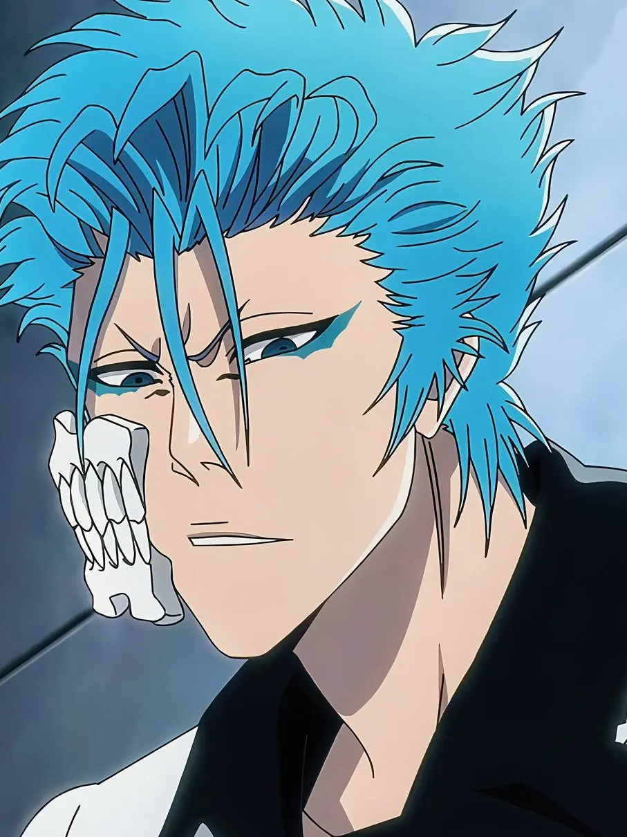 sugrknqve의 Grimmjow