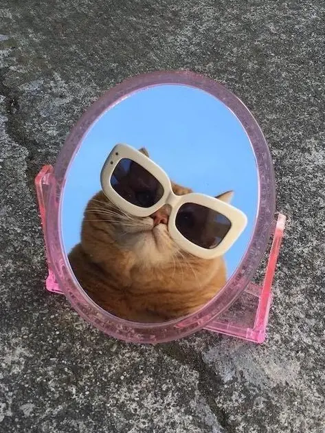 Dimension의 곽연지