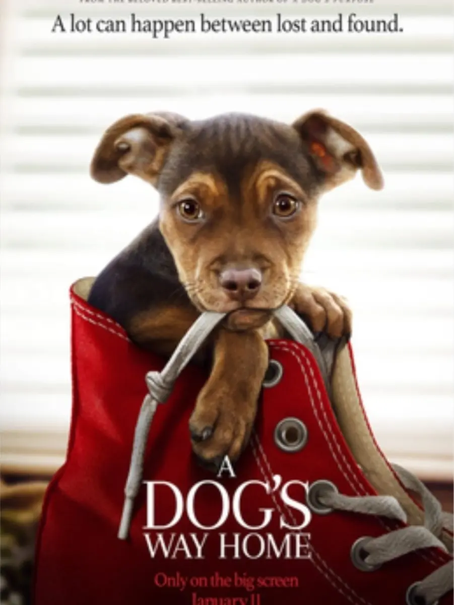 SquarePound2604의 A Dog's Way Home