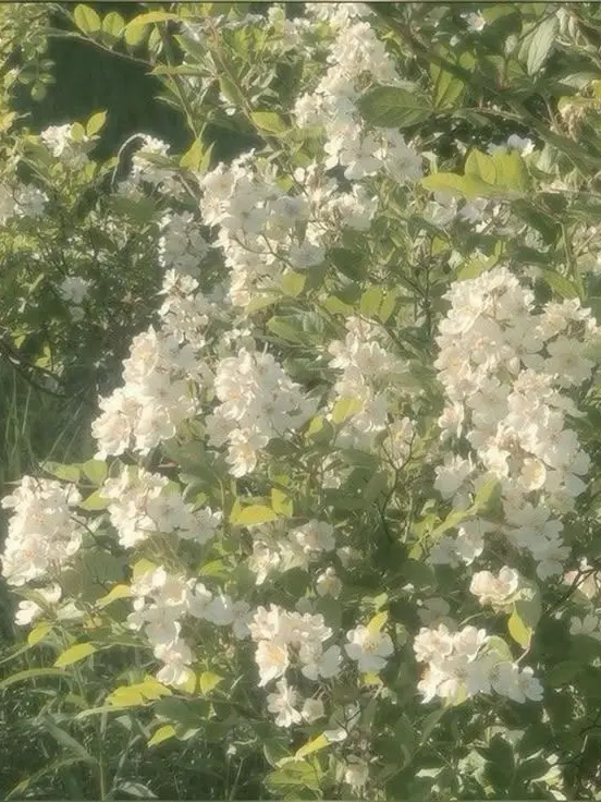 azuretime_1의 항상 나만 바라봐 줘.