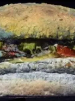 Beautifulanduglybird의 쿡버거 세계관