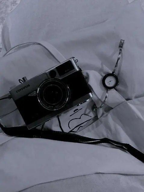 tard0x의 가해자들.