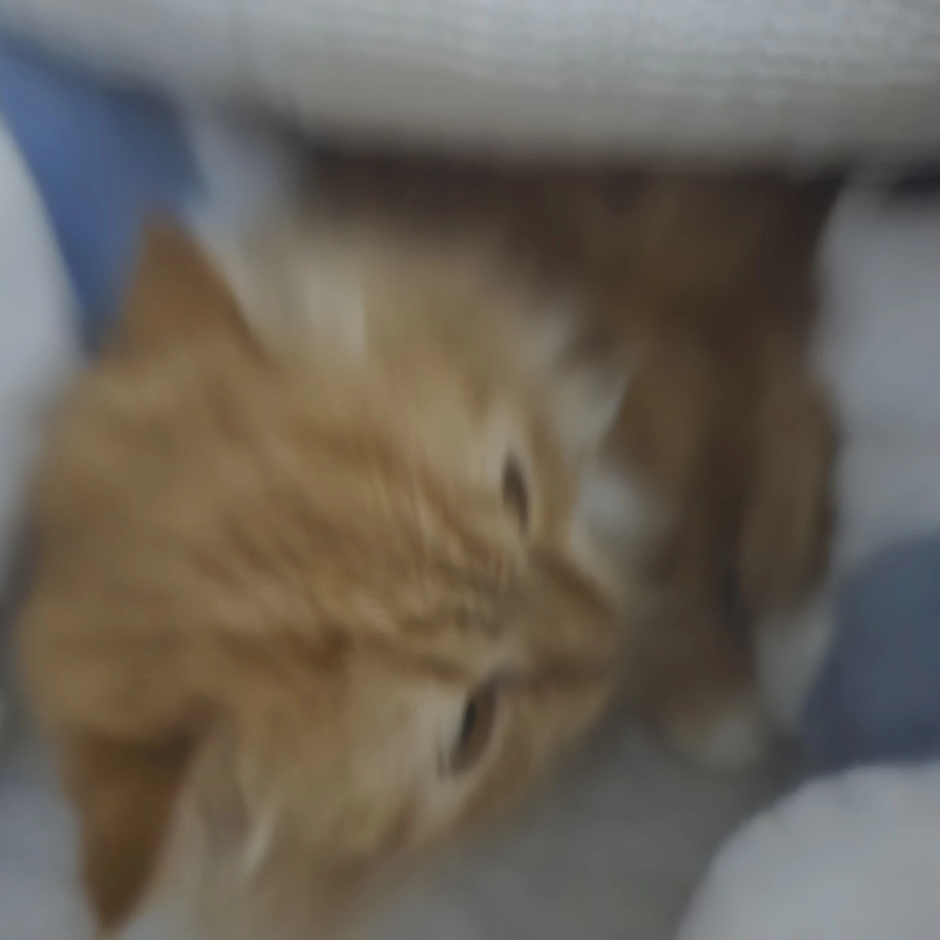1개월됀 아기