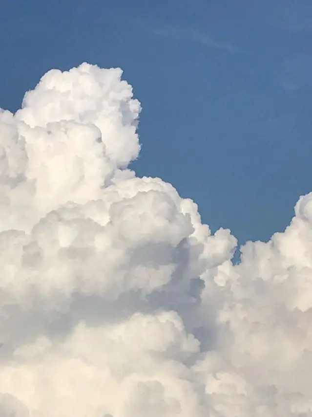 Mood.의 [BL]하늘이 맑아서 그런거야.