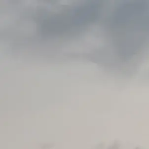 Near.is.my.b_tch의 지류의 삶