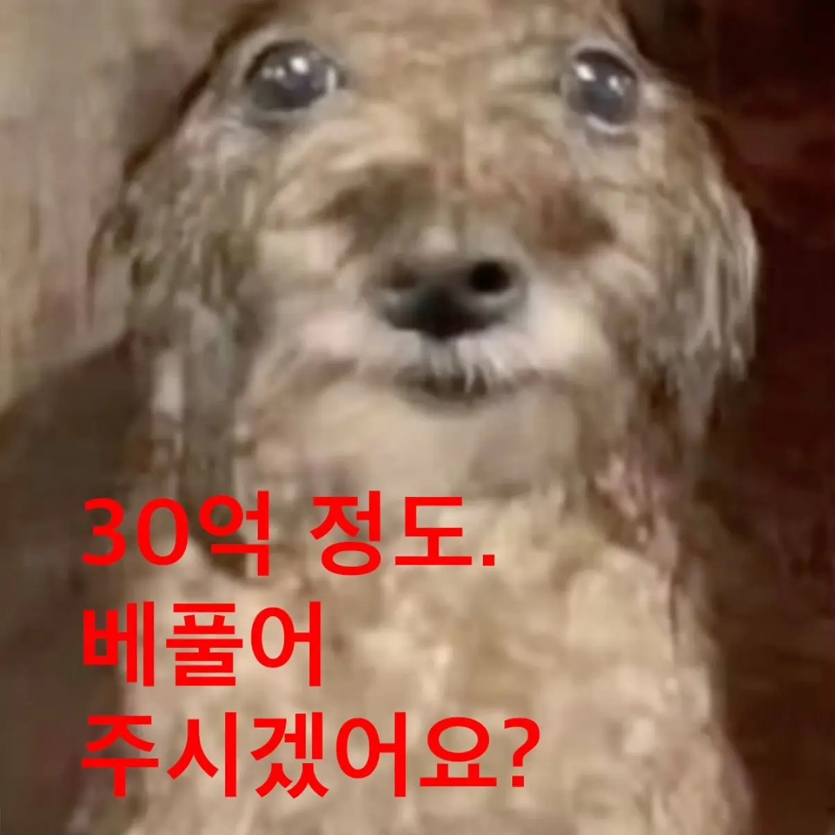 HeavyMoose9127의 누나, 소리 내지 말라고.