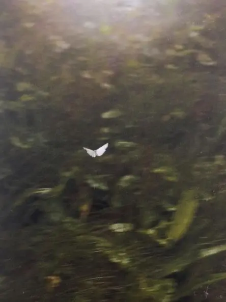 Hw4un의 김 각별,