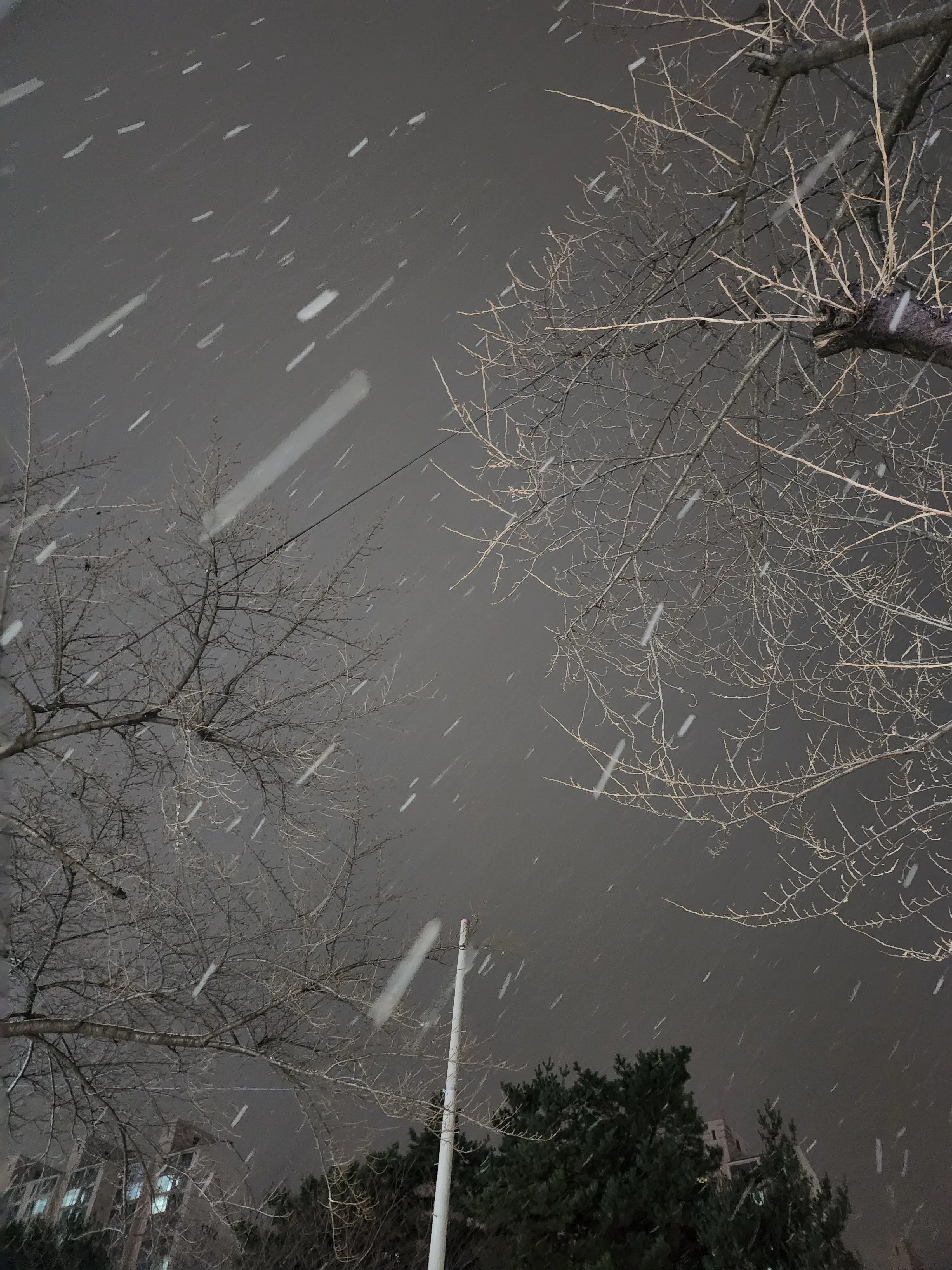 Dreamy_love의 왜? 무서워-?