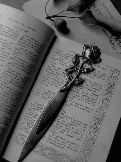 plant___0x0의 姫と日常組とら運営と。