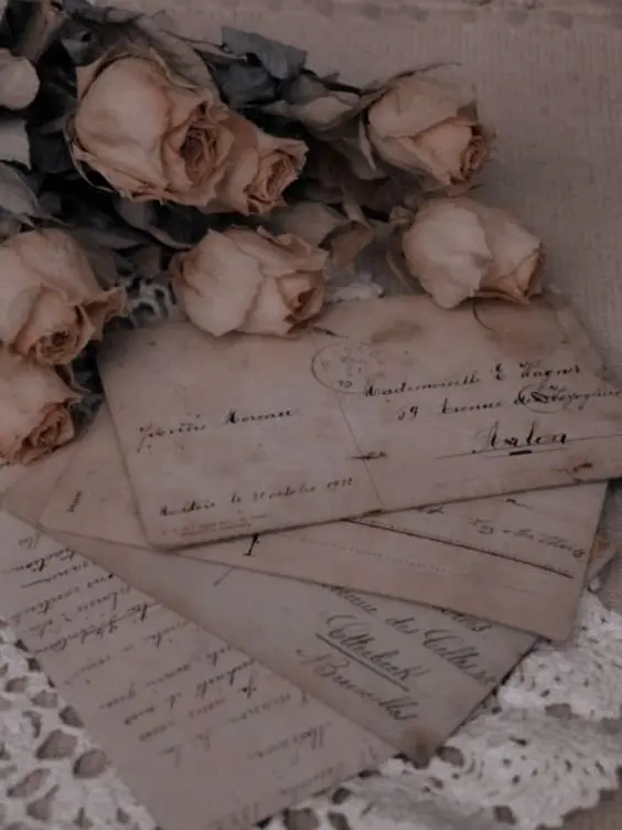 OldCopy3235의 정공룡