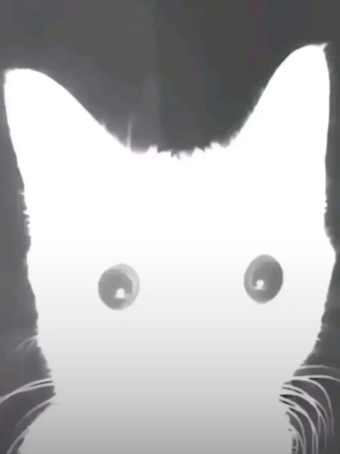 Iamgoodatraisingthetaste의 女性徴兵制