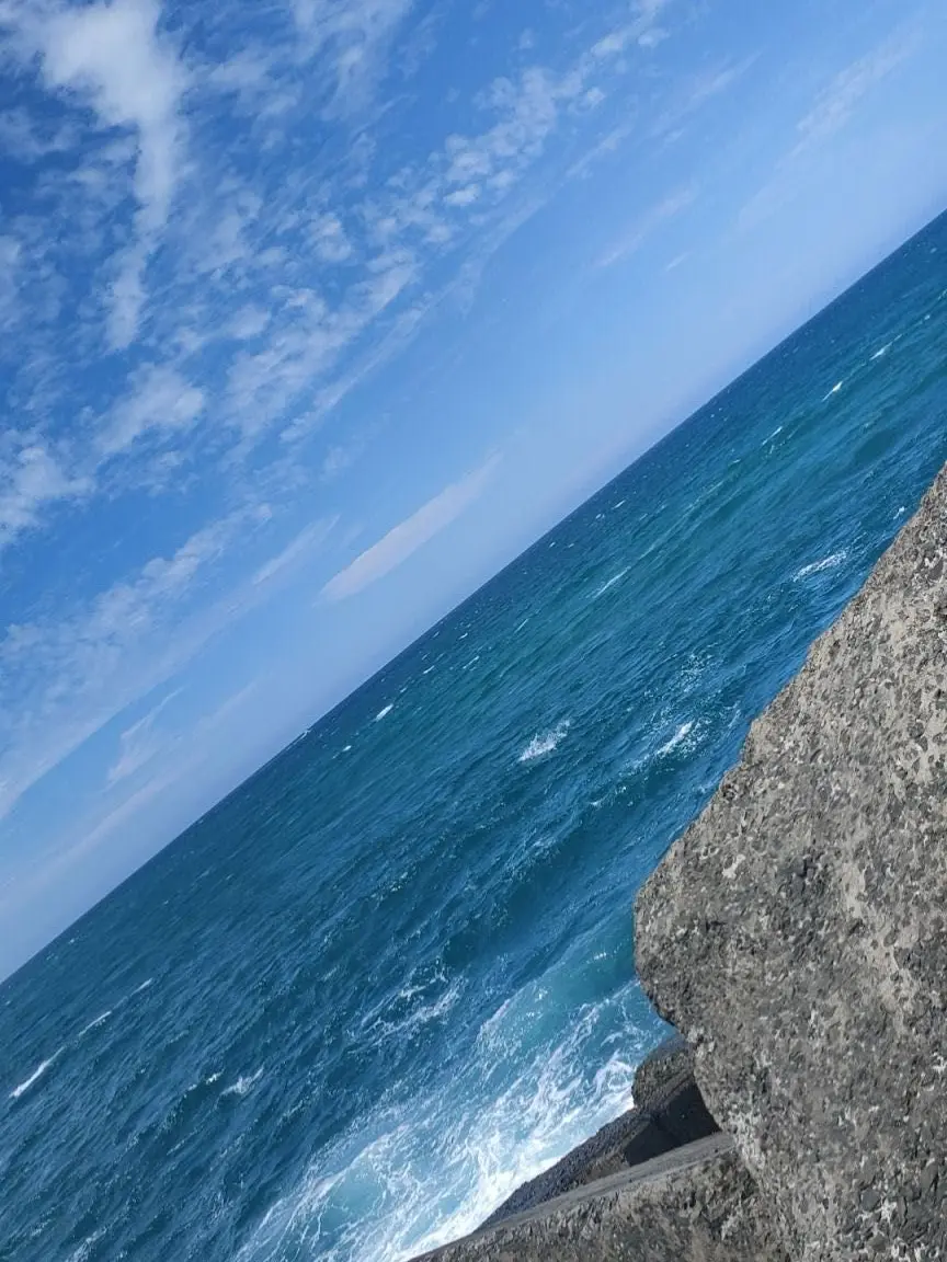 PoorSugar2176의 Black Family