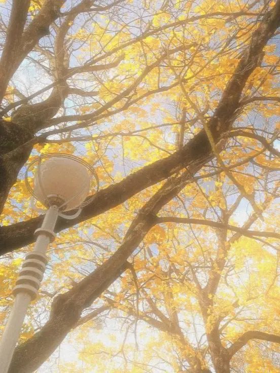 pri_me.의 이루어질 수 없는 연이란 건 알았지만