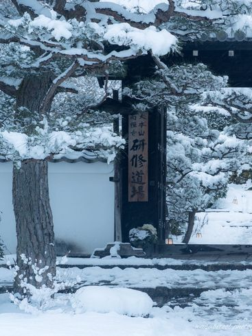 이어질 수 없는 인연이란 건 아는데 대표 이미지