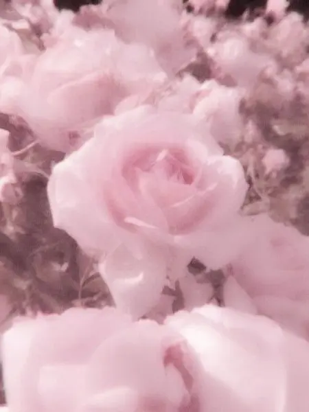 Z_X029의 [ 밥풀이랑 동거 ]