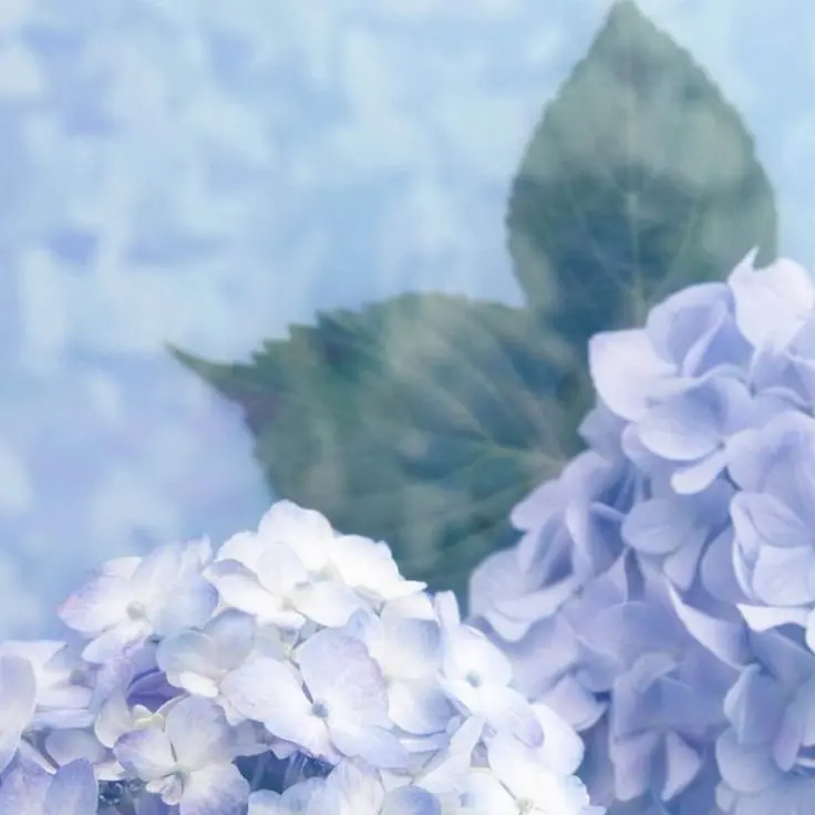 yasunaa_1103_의 最推し 裙 ＿ ♡