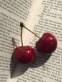 패러다이스 대표 이미지