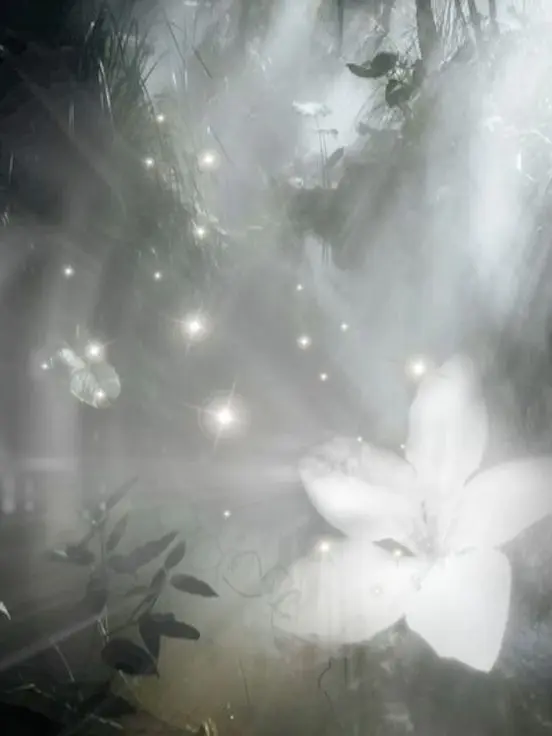 Gulbi_11의 Overnight, Everything Changed.