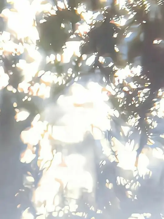 StrictLiger8461의 ―――