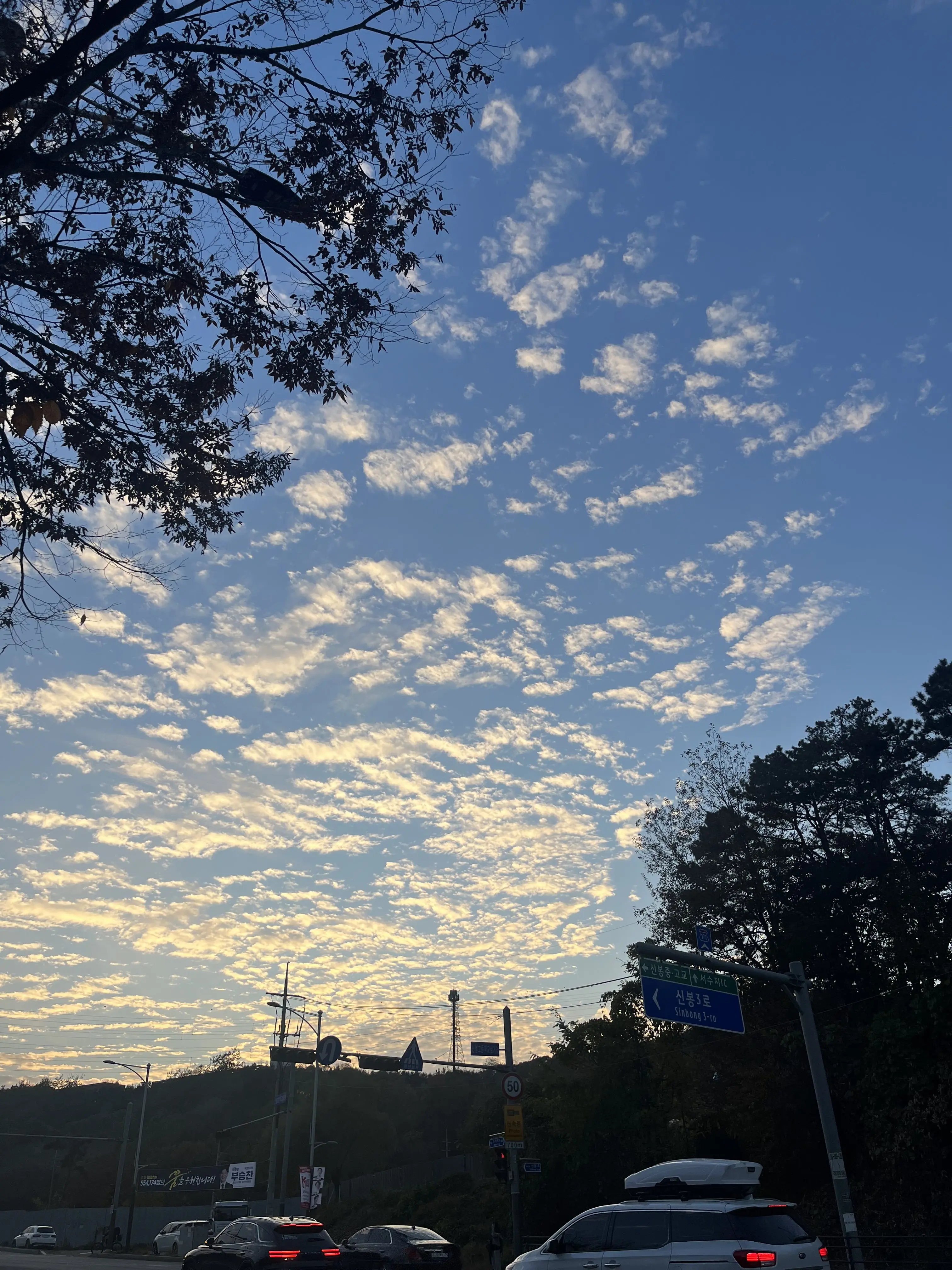 UglyRose3605의 나이차이 심한 친오빠들