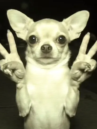 RuralJudge8629의 아니좀말걸지말라고금성제