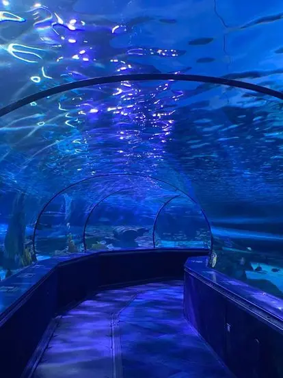 OUA의 초능력 학교