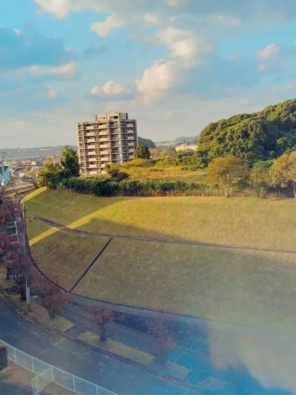 BrashLily5266의 自分用だYO！