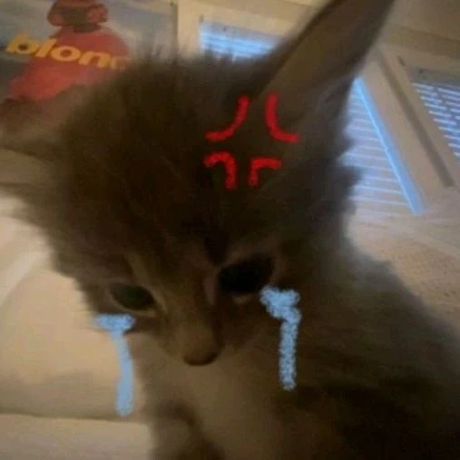 (๑˃̵ᴗ˂̵)