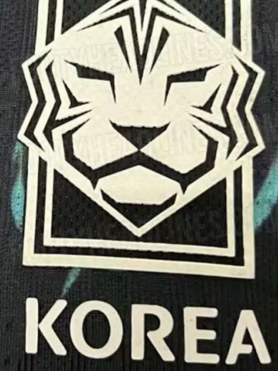 VoicedFlare4768의 대한민국 축구 선수되기