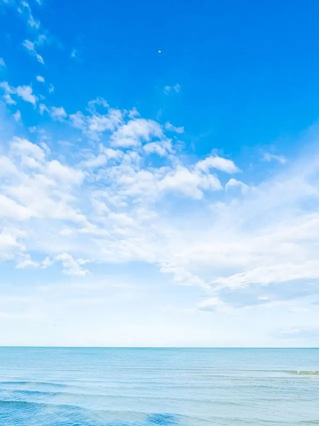 TidyCarp4032의 이윤찬