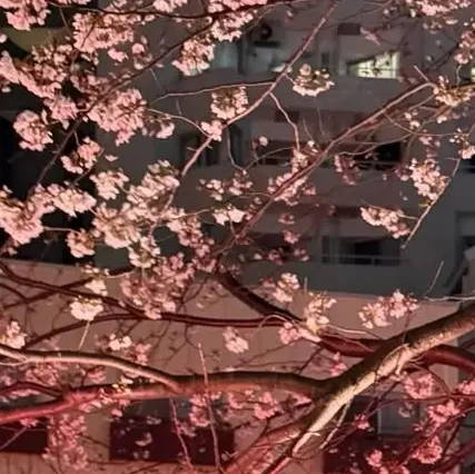 STAY_0114의 에이티즈