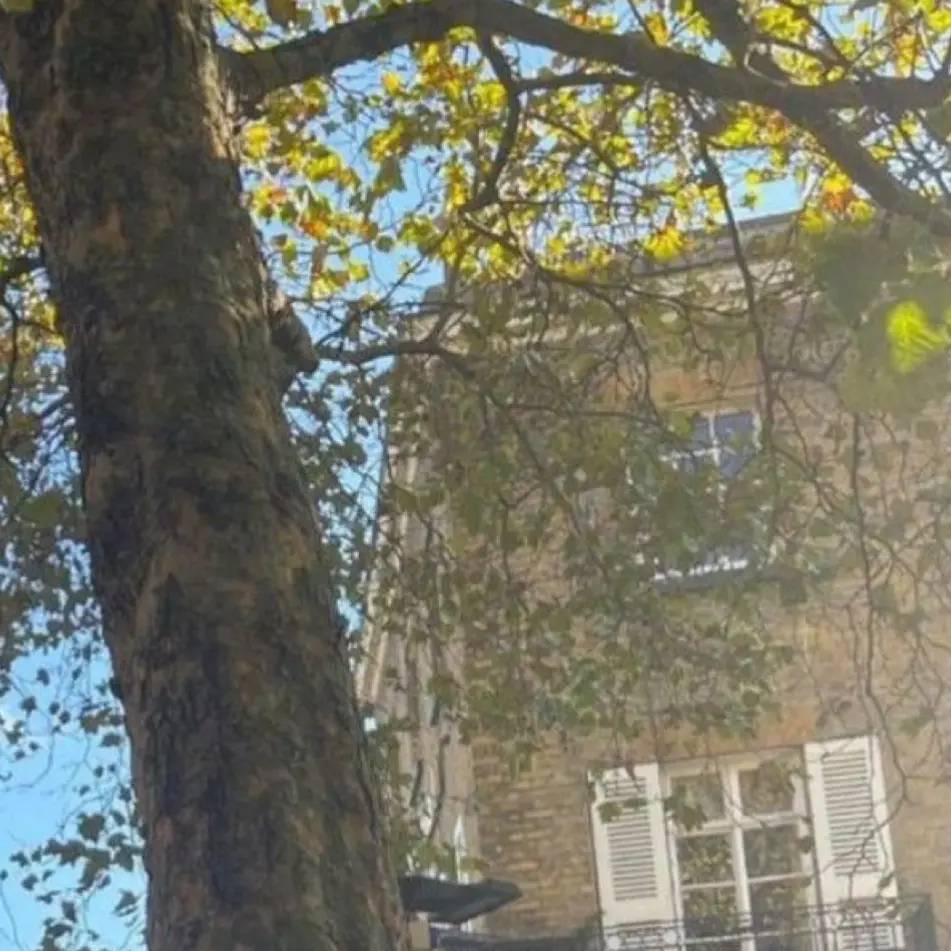 SolemnHoist5695의 BND 수학여행.