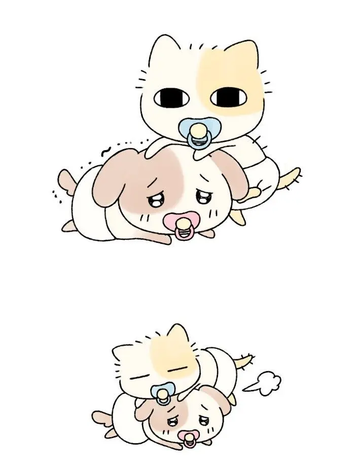 Jay_bond의 주인장 장르 합체