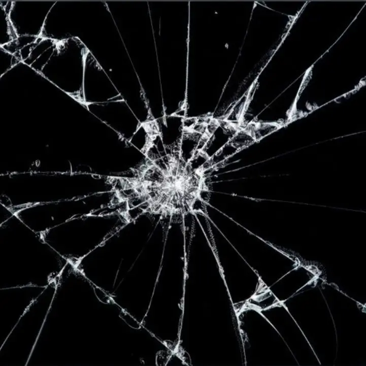 meat_0100의 권은결 BL