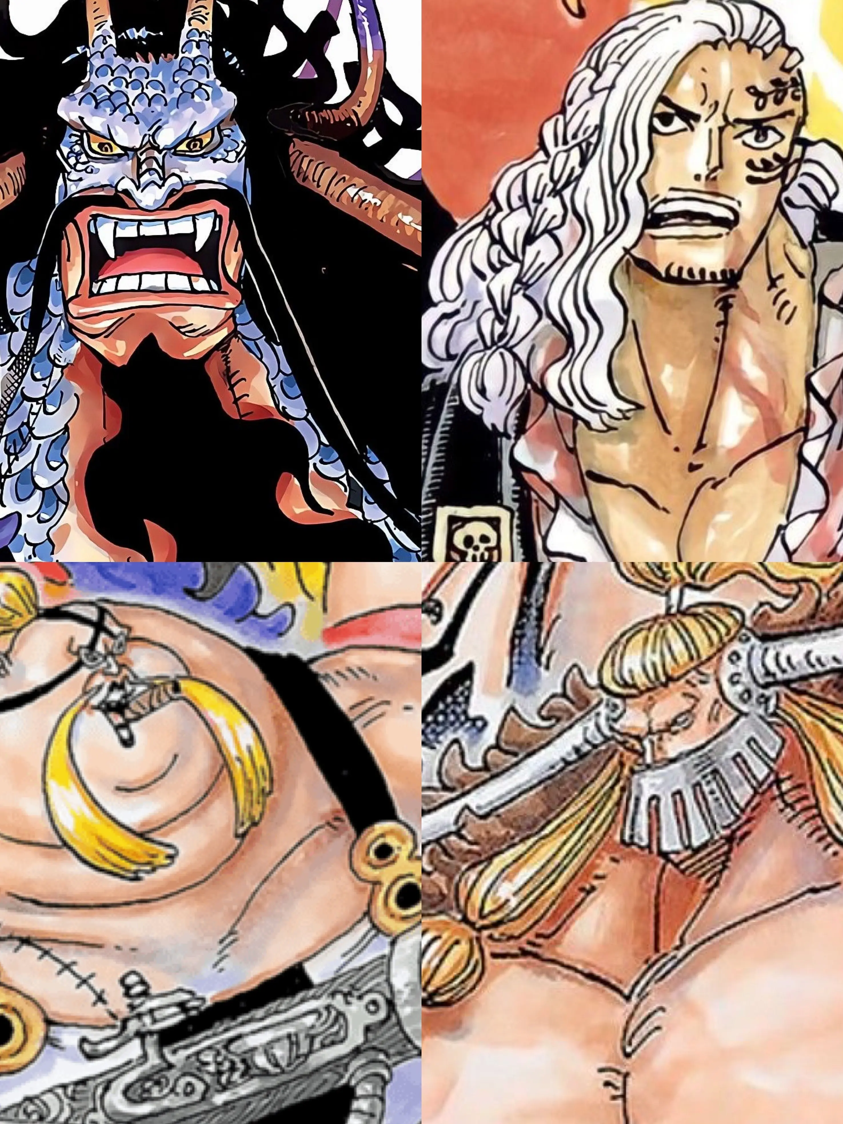 DryMudi3352의 百獣海賊団最高幹部