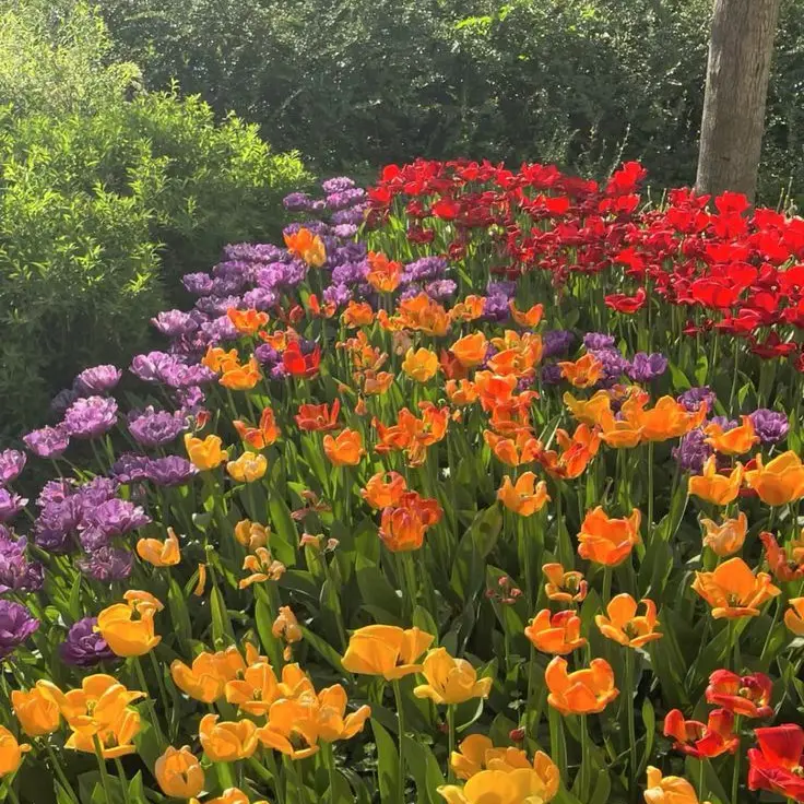 JaggedArrow5960의 픽셀리 4인 👻