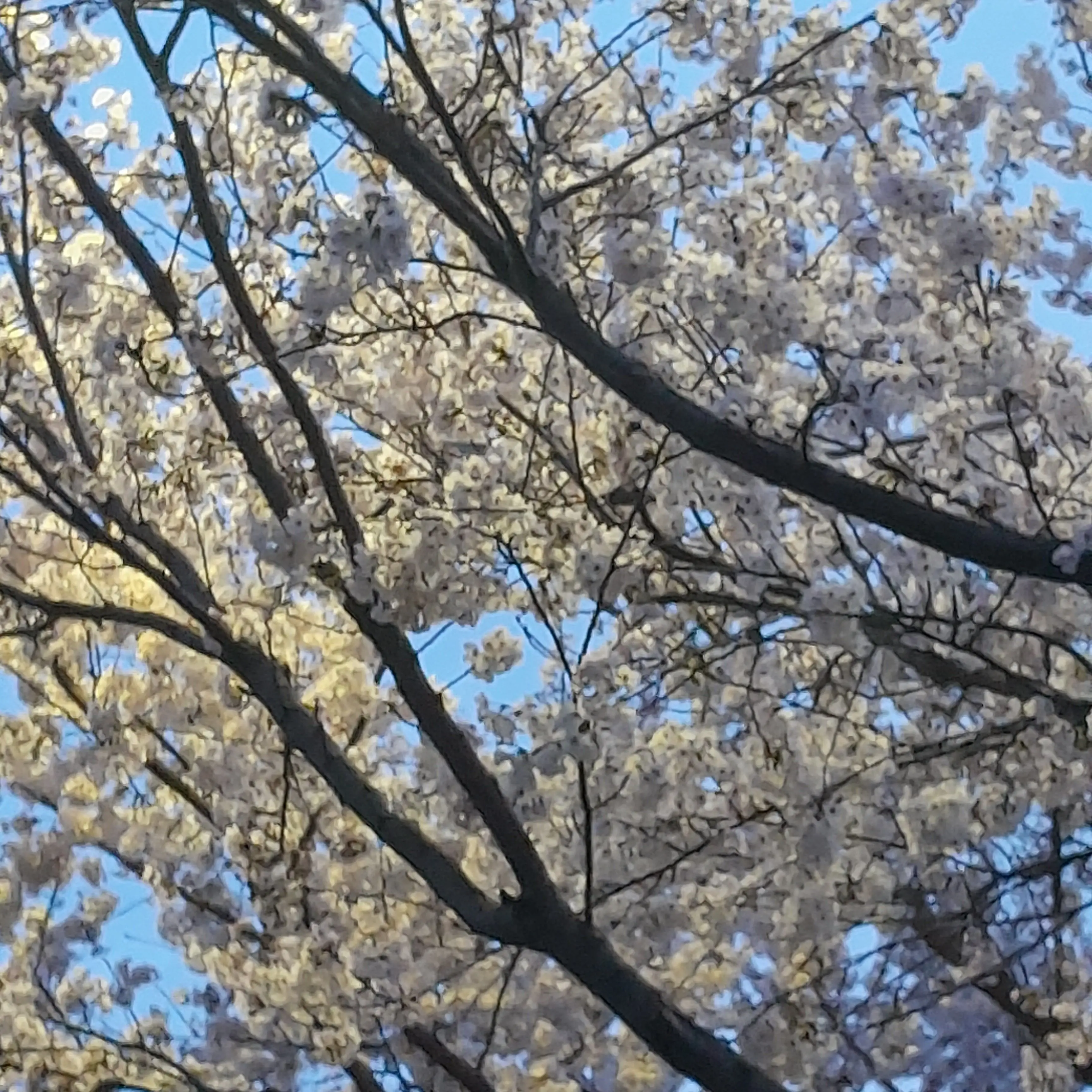 DaftlyStep1571의 여기가 우리의 나락이니