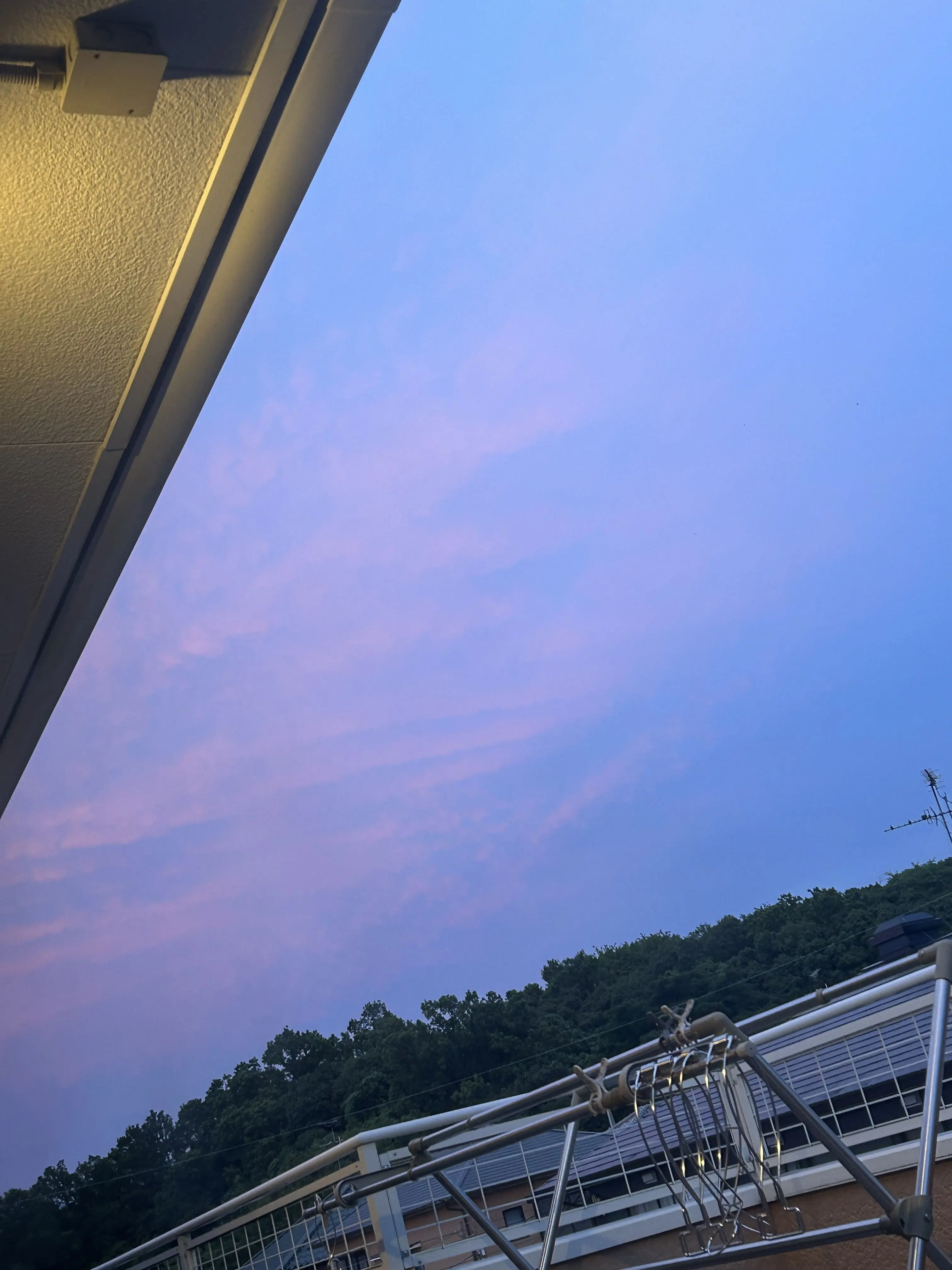 ria_09의 呪術廻戦がトー横に！？