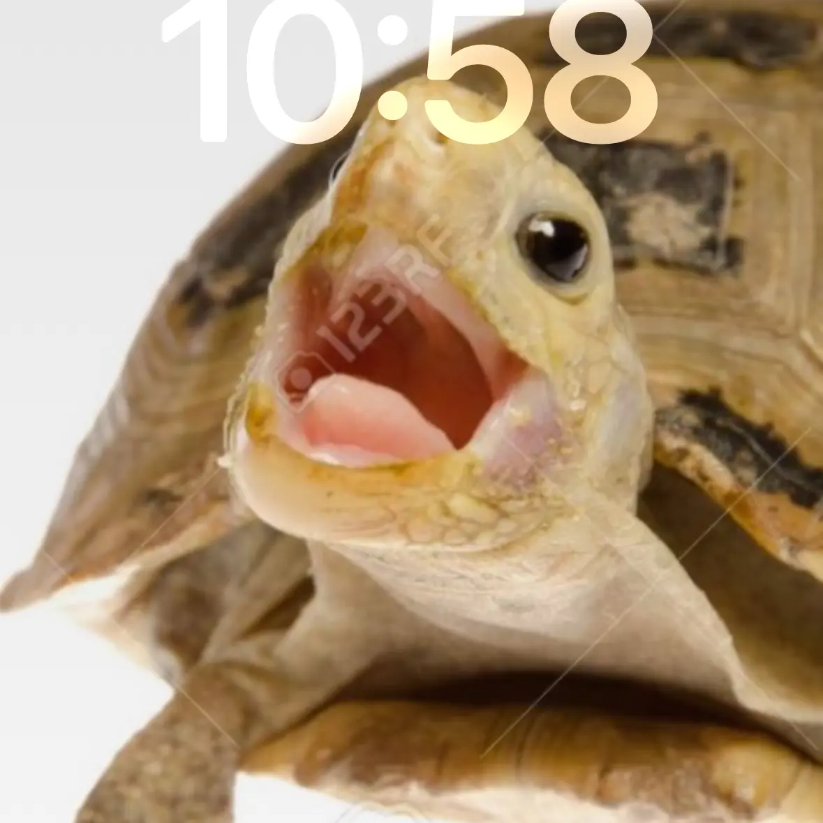 20is의 뜰팁학교