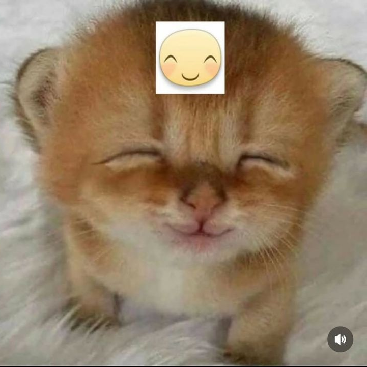 이호성(삼성) 대표 이미지