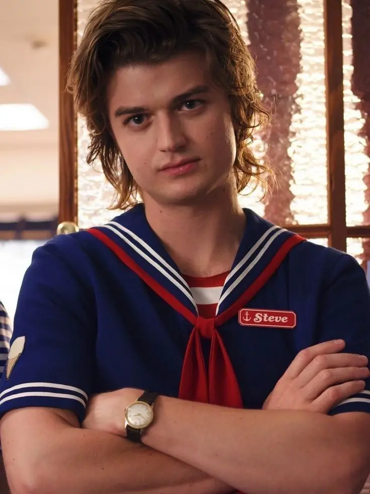 StaleImage3780의 Steve Harrington