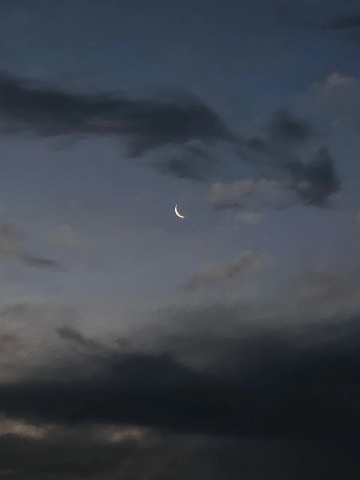 FakePool6504의 勇志先輩