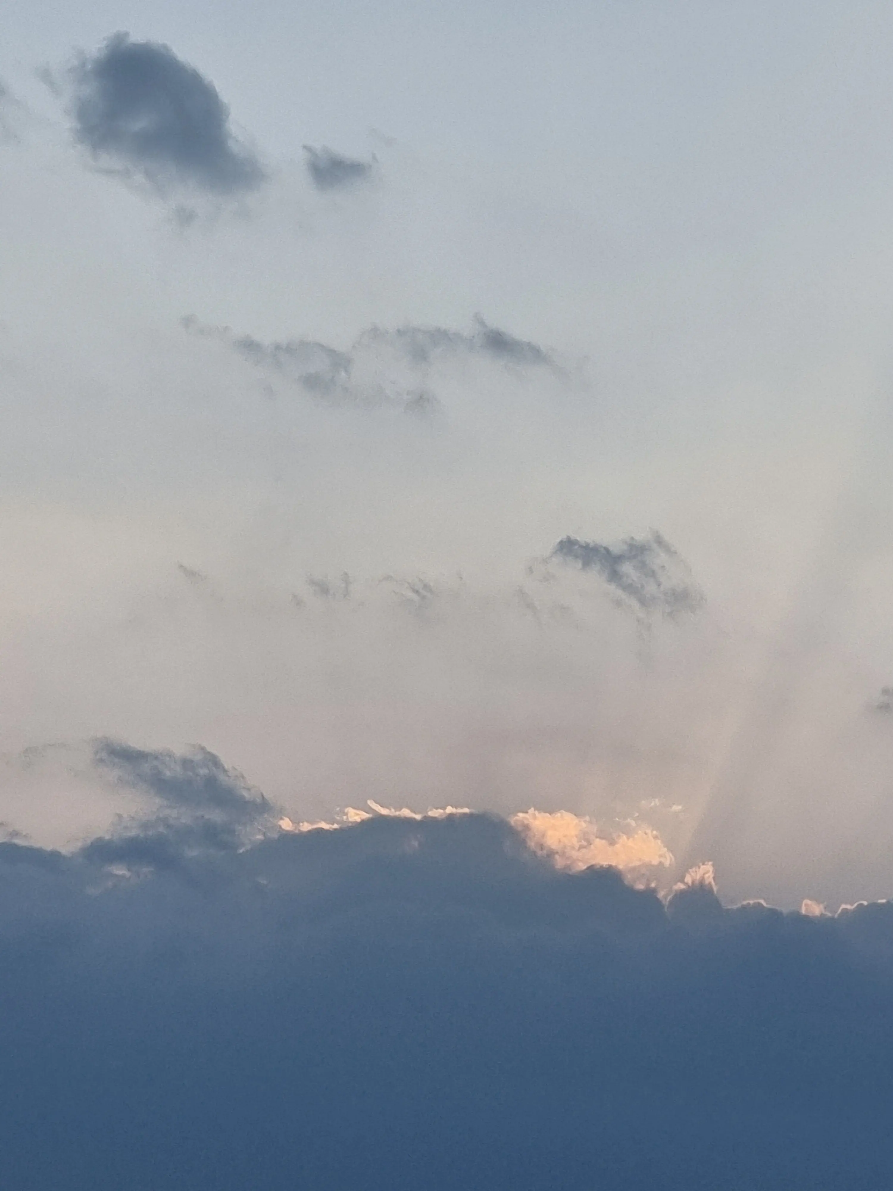 Rich_Peach의 {팀나빠}개인요유