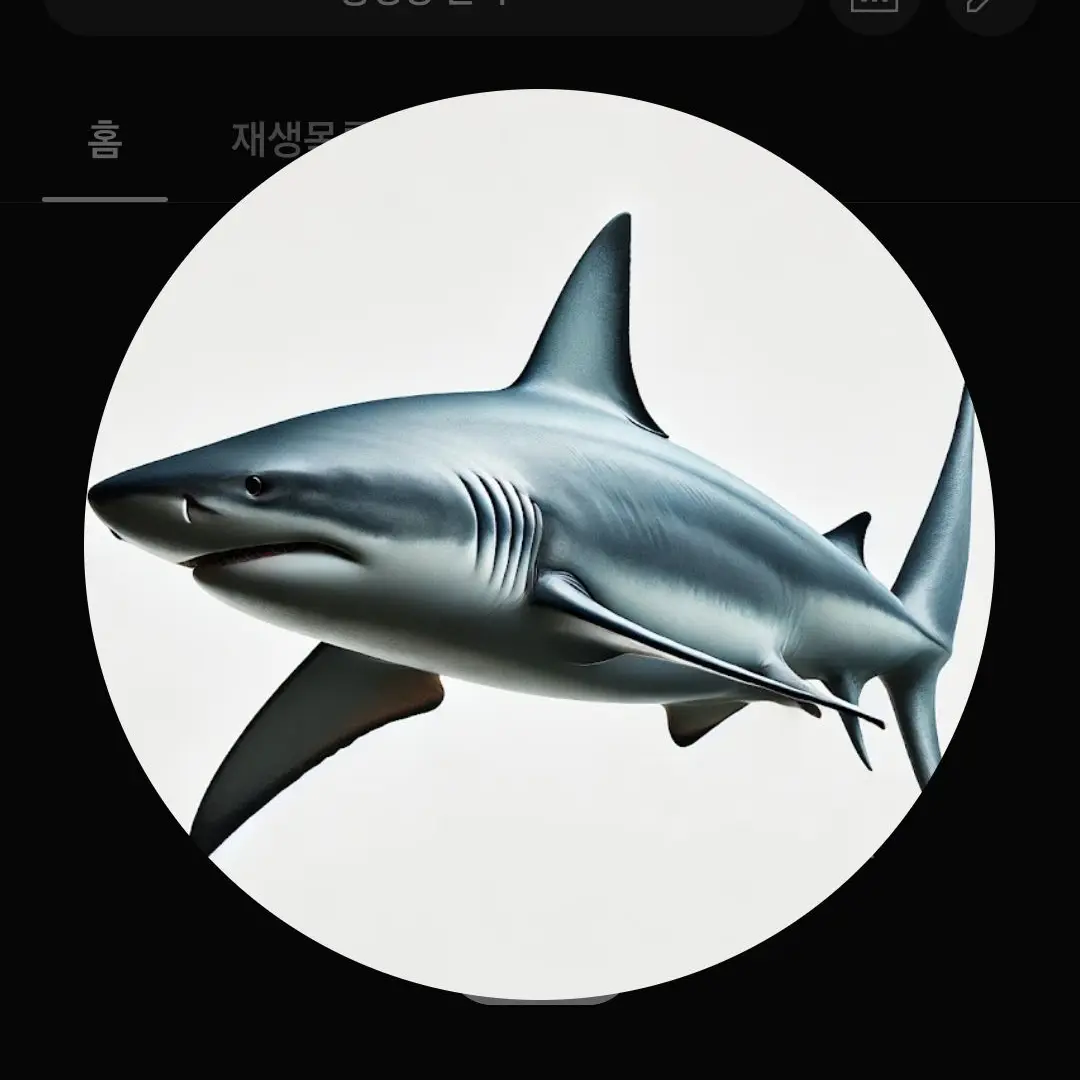 Ishark의 천사들이 나를..좋아해?