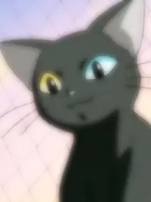 HardMoose3794의 다크시니